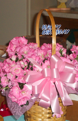 azaleas.jpg