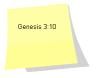 genesis.jpg