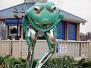 mutantfrog.jpg