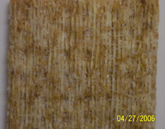 triscuit.jpg