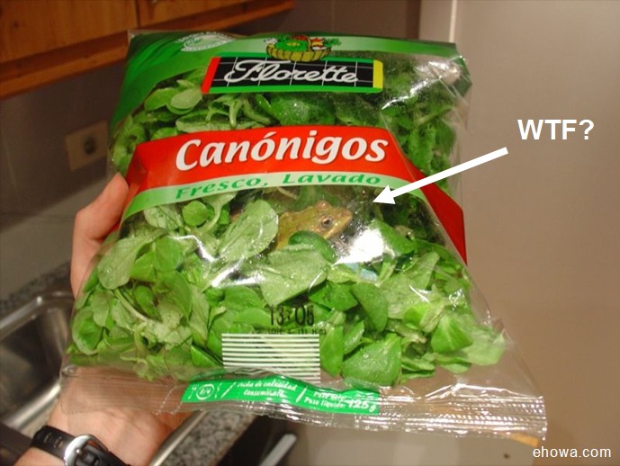veryfreshgreens.jpg